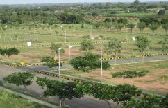 1000 Sq Mtr Yamuna Authority Residential Plot Resale Sec 20 