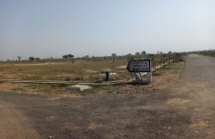 H Block 300 Sq Meter Yamuna Expressway Authority Plot